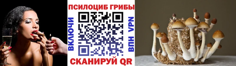 Галлюциногенные грибы прущие грибы  что такое   Бавлы 